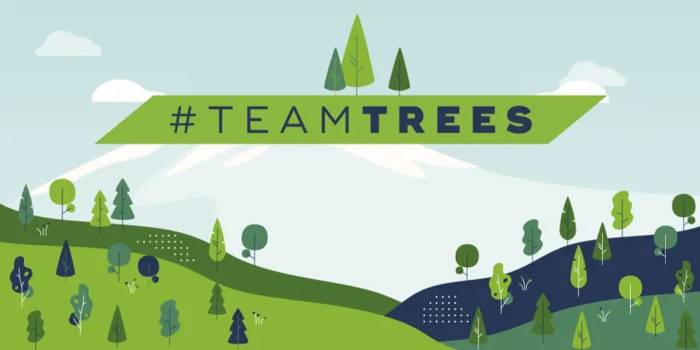 How Many Trees Did Team Trees Plant?