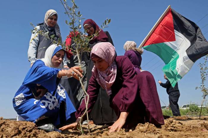 Jews together arabs efrat bank west israel trees plant taled abu zach haim palestinians hard work people shhhh territories palestinian