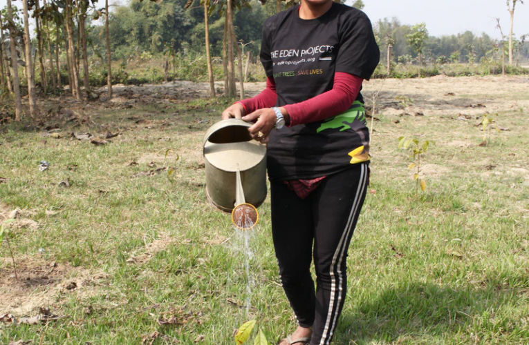 Plant a Tree for Someone A Meaningful Gift