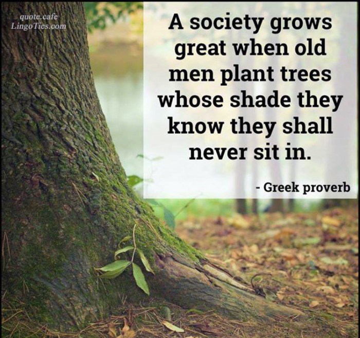 When old men plant trees