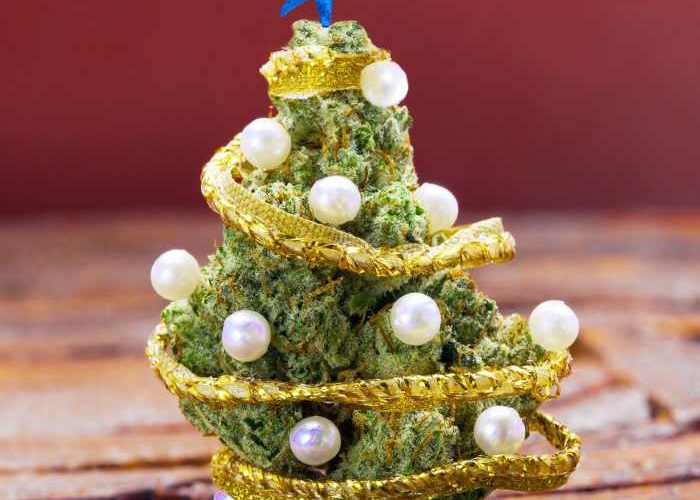 Weed Plant Christmas Tree A Festive Idea?