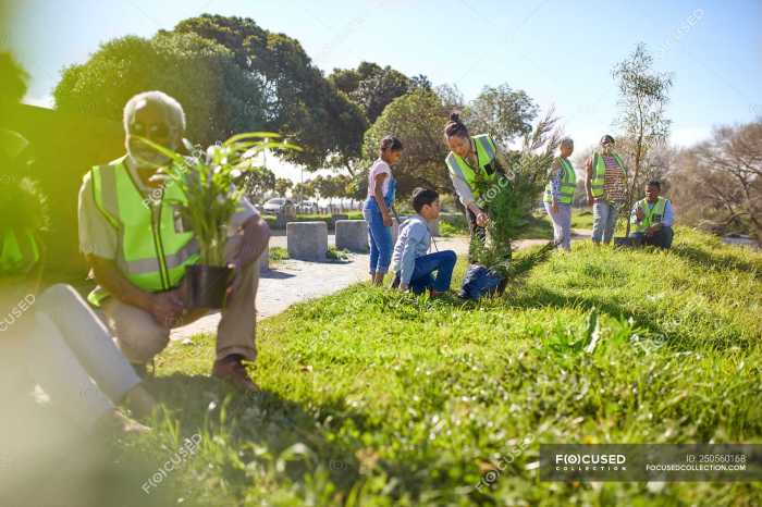 Volunteer to Plant Trees Near Me Get Involved!