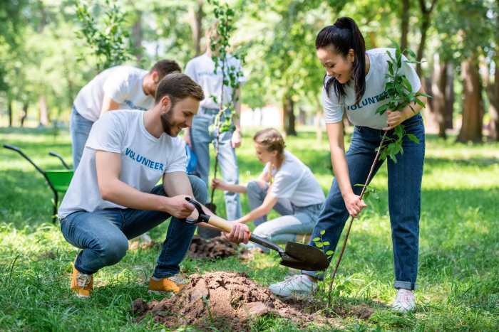 Volunteer to plant trees near me